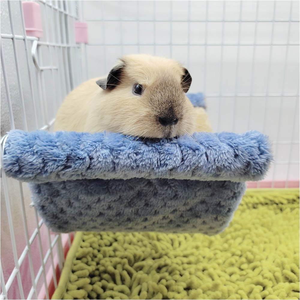 Dubbellaags Winter Warm Rat Ha - Fleece Sleep Bag recensie en prijs